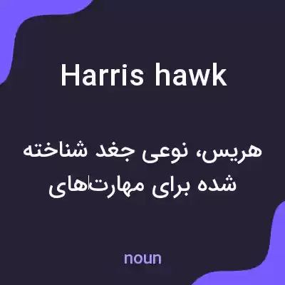 معنی harris hawk به فارسی معنی harris hawk به فارسی