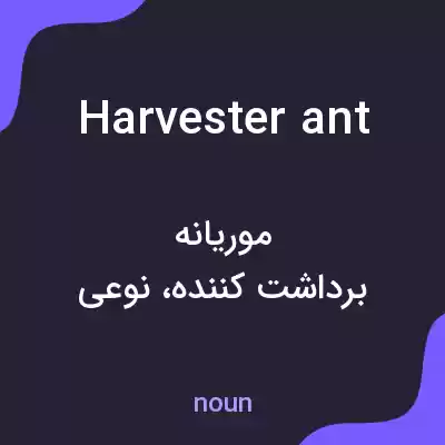 معنی harvester ant به فارسی معنی harvester ant به فارسی