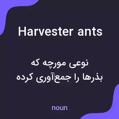 معنی harvester ants به فارسی معنی harvester ants به فارسی