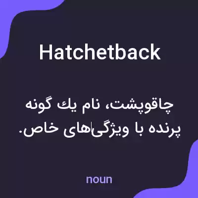 معنی hatchetback به فارسی معنی hatchetback به فارسی