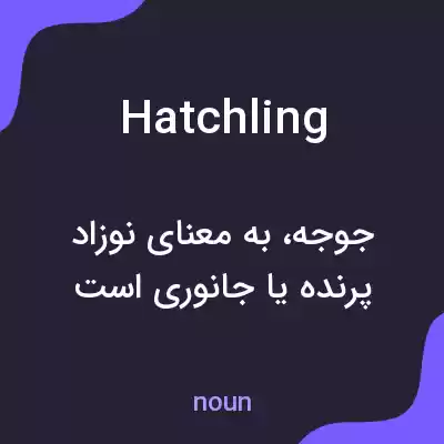 معنی hatchling به فارسی معنی hatchling به فارسی