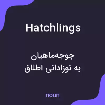 معنی hatchlings به فارسی معنی hatchlings به فارسی