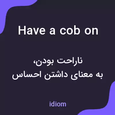 معنی have a cob on به فارسی معنی have a cob on به فارسی