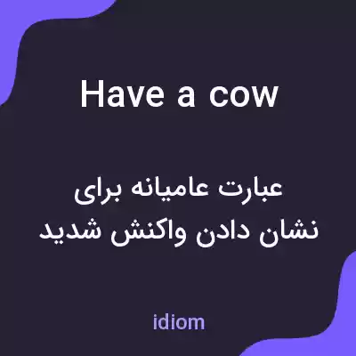 معنی have a cow به فارسی