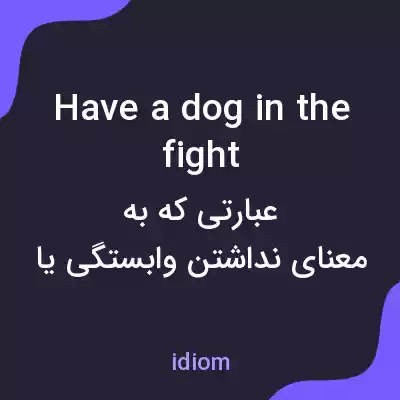 معنی have a dog in the fight به فارسی
