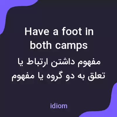 معنی have a foot in both camps به فارسی معنی have a foot in both camps به فارسی