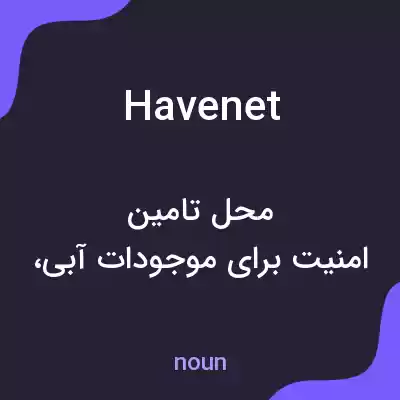 معنی havenet به فارسی معنی havenet به فارسی