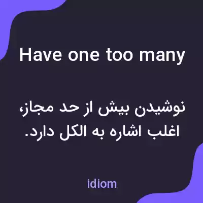 معنی have one too many به فارسی معنی have one too many به فارسی