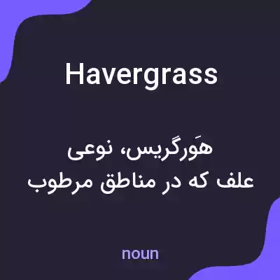 معنی havergrass به فارسی معنی havergrass به فارسی