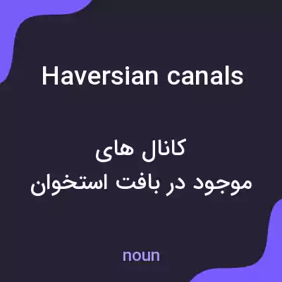 معنی haversian canals به فارسی معنی haversian canals به فارسی
