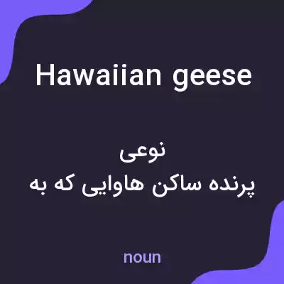 معنی hawaiian geese به فارسی معنی hawaiian geese به فارسی