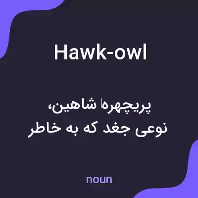معنی hawk-owl به فارسی معنی hawk-owl به فارسی