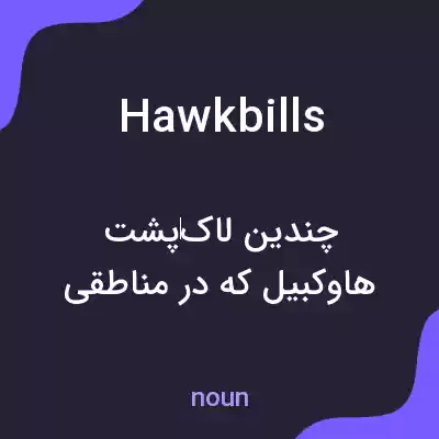 معنی hawkbills به فارسی معنی hawkbills به فارسی