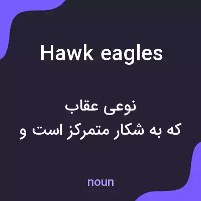 معنی hawk eagles به فارسی معنی hawk eagles به فارسی