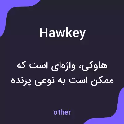 معنی hawkey به فارسی معنی hawkey به فارسی