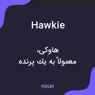 معنی hawkie به فارسی معنی hawkie به فارسی