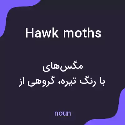 معنی hawkmoths به فارسی معنی hawkmoths به فارسی