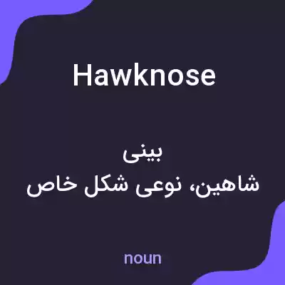 معنی hawknose به فارسی معنی hawknose به فارسی