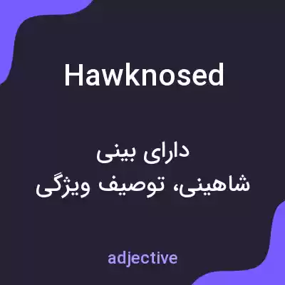 معنی hawknosed به فارسی