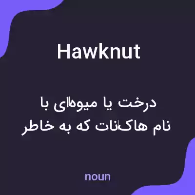 معنی hawknut به فارسی معنی hawknut به فارسی