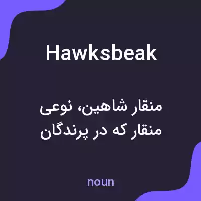 معنی hawksbeak به فارسی معنی hawksbeak به فارسی