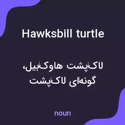 معنی hawksbill turtle به فارسی