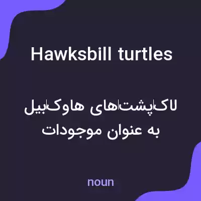 معنی hawksbill turtles به فارسی معنی hawksbill turtles به فارسی
