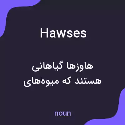 معنی hawses به فارسی معنی hawses به فارسی