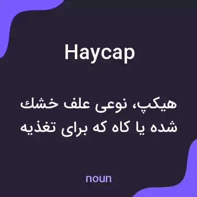 معنی haycap به فارسی معنی haycap به فارسی