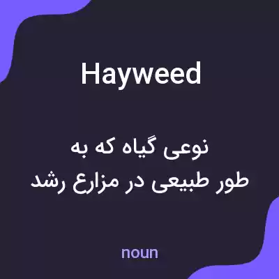 معنی hayweed به فارسی معنی hayweed به فارسی