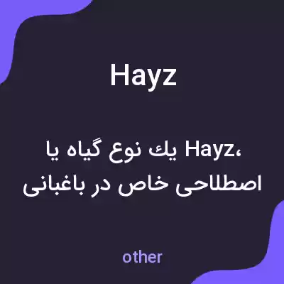 معنی hayz به فارسی معنی hayz به فارسی