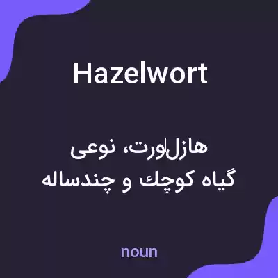 معنی hazelwort به فارسی معنی hazelwort به فارسی