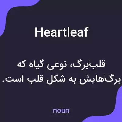 معنی heartleaf به فارسی معنی heartleaf به فارسی