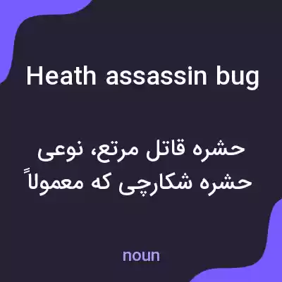 معنی heath assassin bug به فارسی معنی heath assassin bug به فارسی
