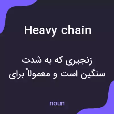 معنی heavy chain به فارسی معنی heavy chain به فارسی