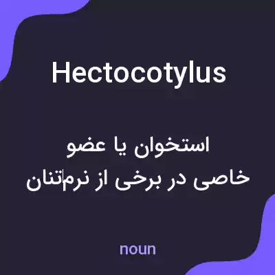 معنی hectocotylus به فارسی معنی hectocotylus به فارسی