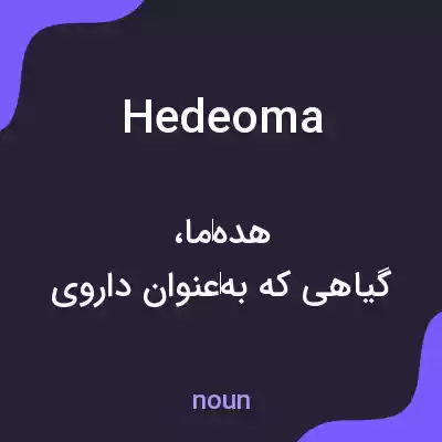 معنی hedeoma به فارسی معنی hedeoma به فارسی