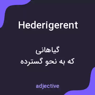 معنی hederigerent به فارسی معنی hederigerent به فارسی