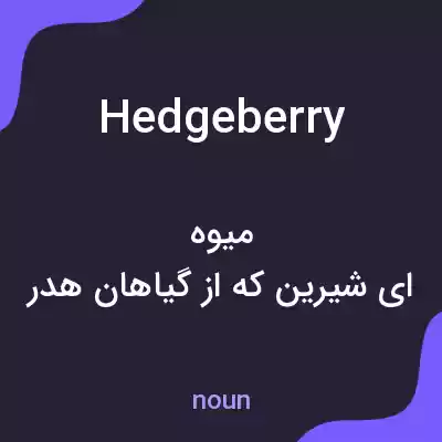 معنی hedgeberry به فارسی معنی hedgeberry به فارسی