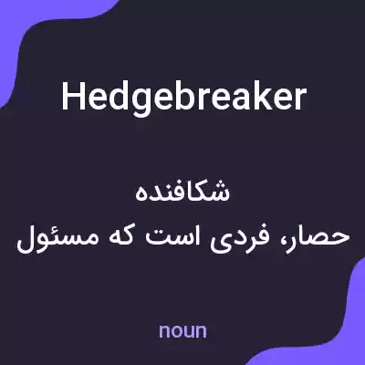 معنی hedgebreaker به فارسی معنی hedgebreaker به فارسی