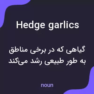 معنی hedge garlics به فارسی معنی hedge garlics به فارسی