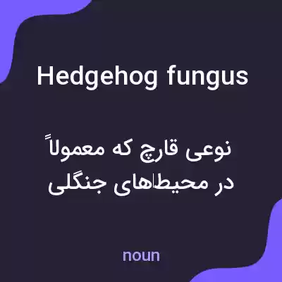 معنی hedgehog fungus به فارسی معنی hedgehog fungus به فارسی