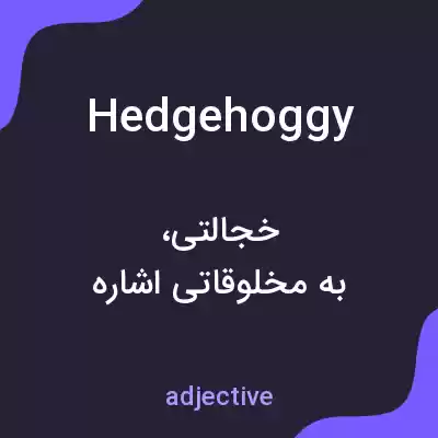 معنی hedgehoggy به فارسی معنی hedgehoggy به فارسی