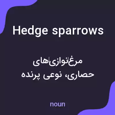 معنی hedge sparrows به فارسی معنی hedge sparrows به فارسی