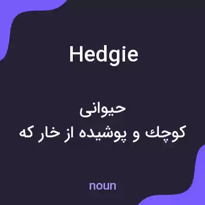 معنی hedgie به فارسی معنی hedgie به فارسی