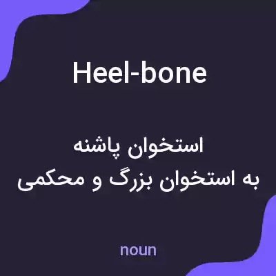 معنی heel-bone به فارسی معنی heel-bone به فارسی