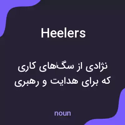 معنی heelers به فارسی معنی heelers به فارسی