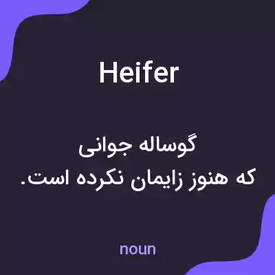 معنی heifer به فارسی معنی heifer به فارسی