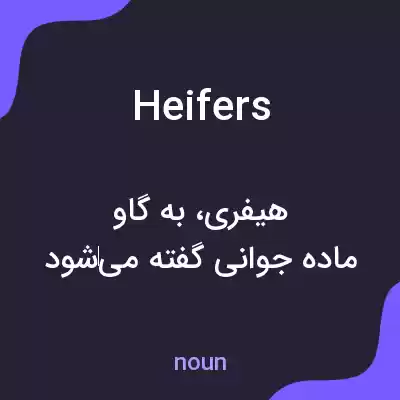 معنی heifers به فارسی معنی heifers به فارسی