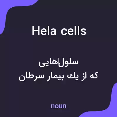 معنی hela cells به فارسی معنی hela cells به فارسی